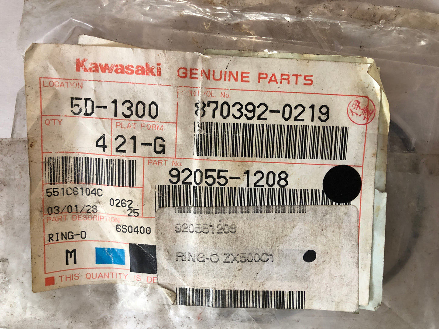 Kawasaki-ZX500C-Ring-0