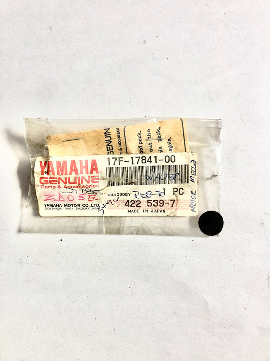 YAMAHA-TDR125-GEAR, DRIVEN