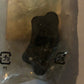 Honda-Dumper RR Wheel- CT110