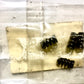 YAMAHA-WR250Z-SPRING, COMPRESSION (23X)