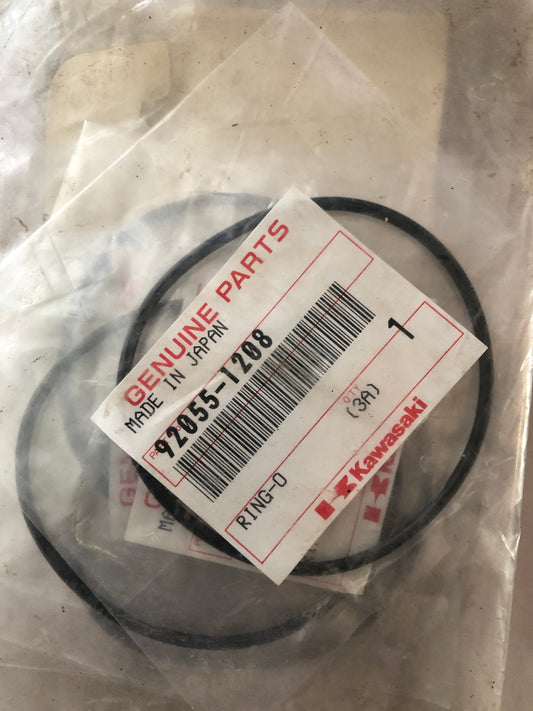 Kawasaki-ZX500C-Ring-0