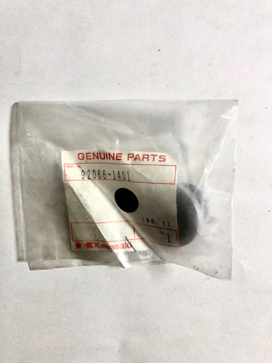 KAWASAKI-Z550G7-PLUG