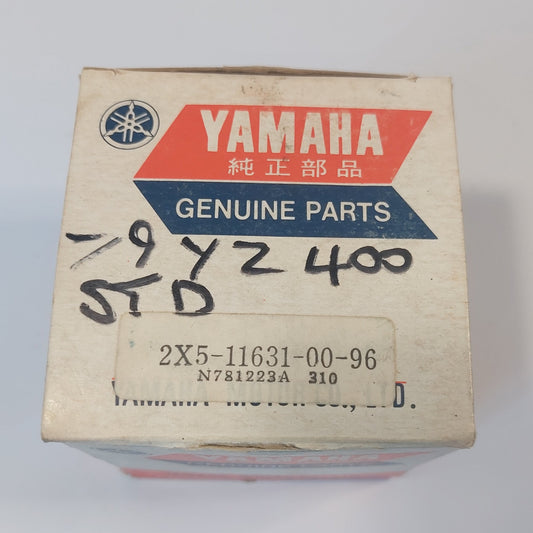 PISTON, STD (0.96) - 1979 YZ400